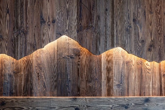 Larice, legno vecchio e tessuti